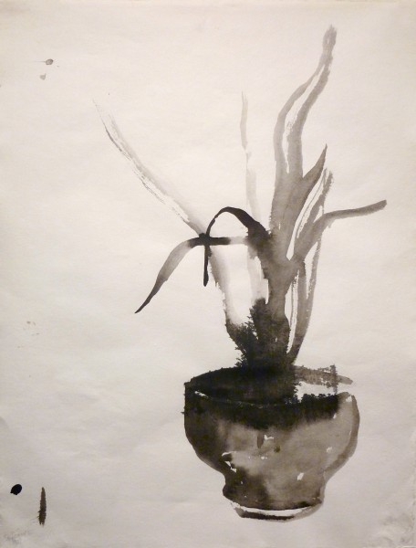 Larry Shineman | ORCHID | 22" x 18" | sumi ink